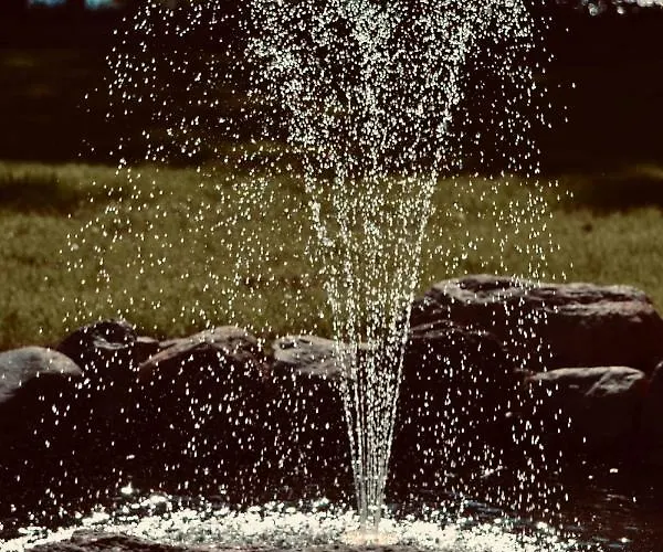 Zamkowy - Schlossgasthof